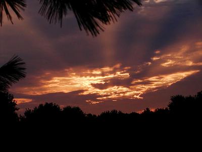 Riverbank Morning #6