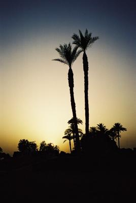 Nile  Sunset.JPG