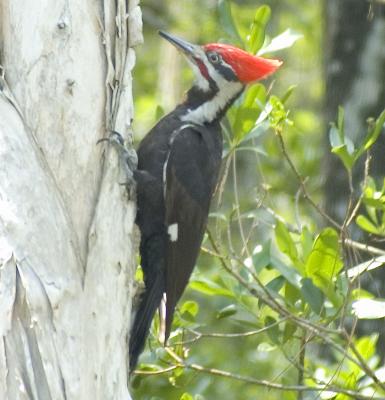 DSC_8801.jpg