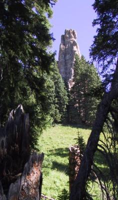 Pinnacle