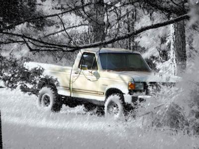 truck in the woods