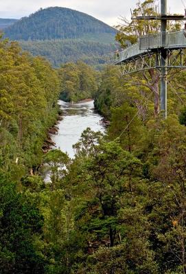 The Tahune Airwalk