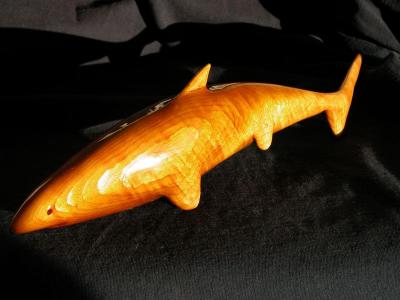 Red cedar shark