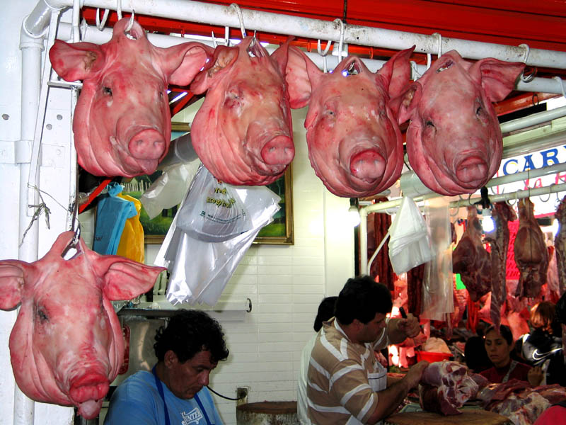 pig heads, mercado