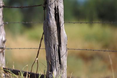 Coin-Slot-Post