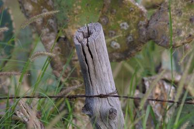 Drinking-Straw-Post