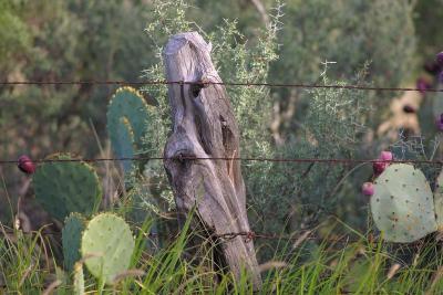 Sculpture-Post