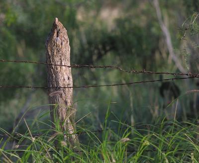 Stone-Post