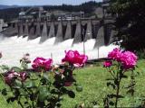 Roses overlooking the flood gates, Bonneville Dam, Oregon