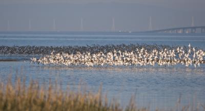 IMG_1619_w.jpg
