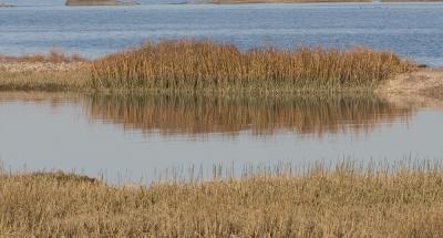 IMG_1641_w.jpg