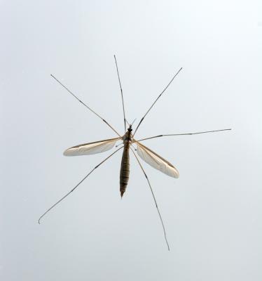 IMG_2530w.jpg