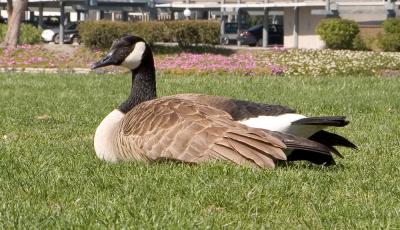 IMG_2618w.jpg
