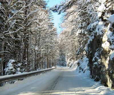 Snowy Road.JPG