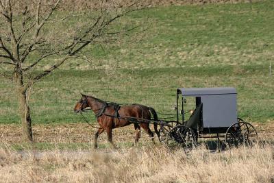 Amish on the way to church