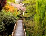 Foot Bridge