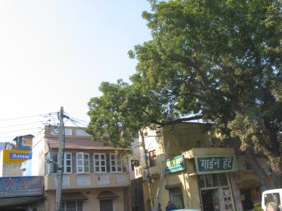 KMG_0999.jpg