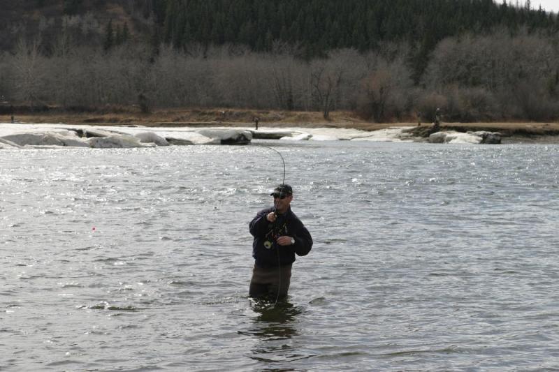 Playing a Fish