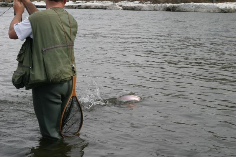 Fish On