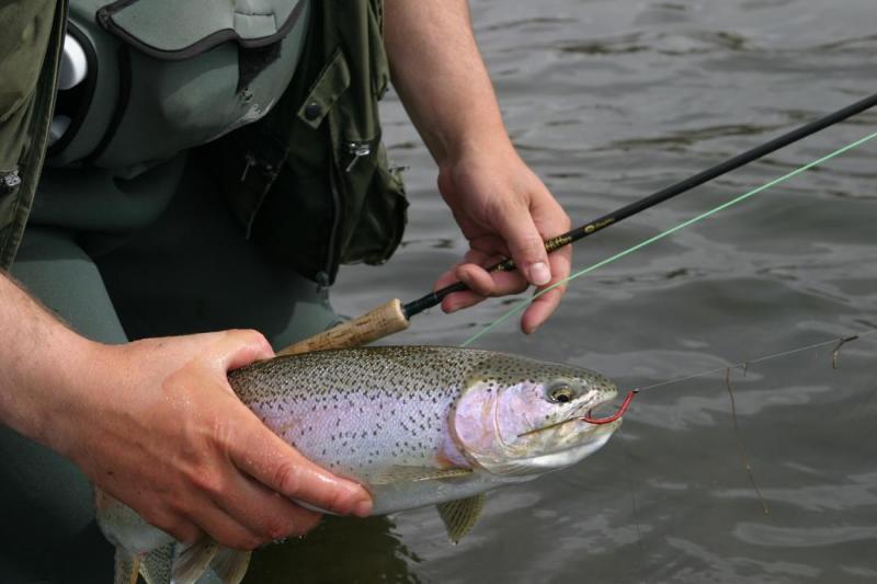 Bow River Bullet