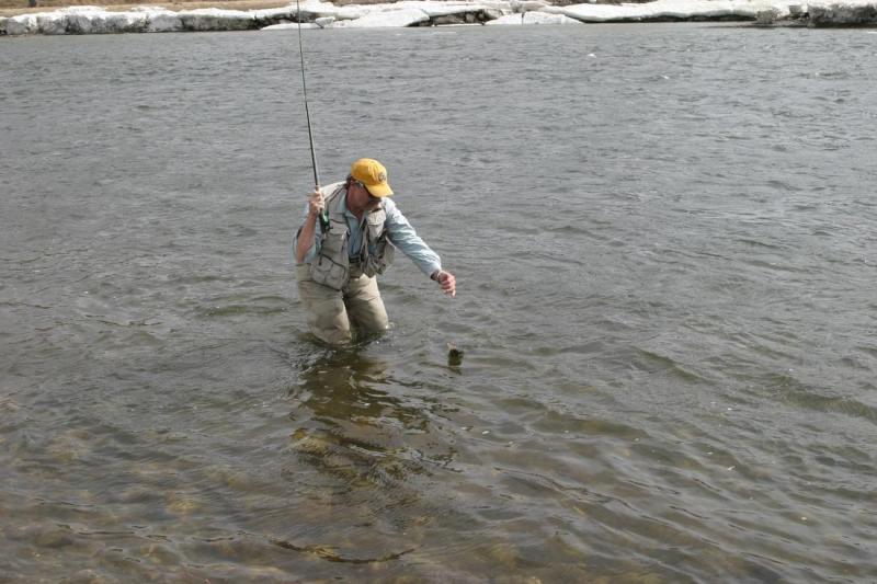 Playing a Fish