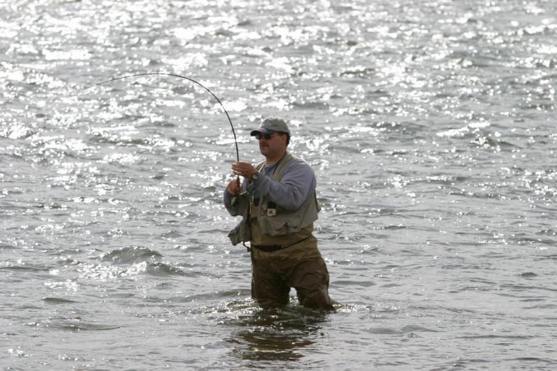 Fellow Fly Fisherman