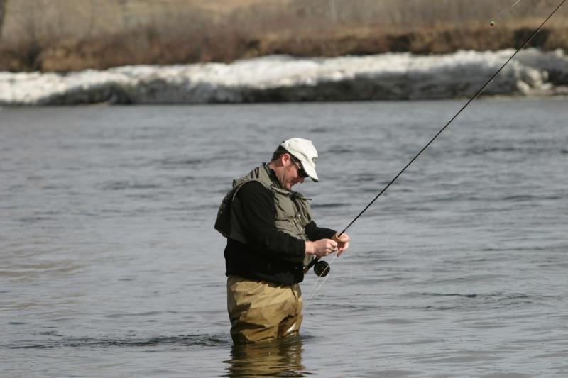 Fly Fisherman