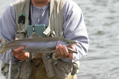 Angler with Fish