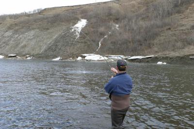 Bob with yet another large trout...