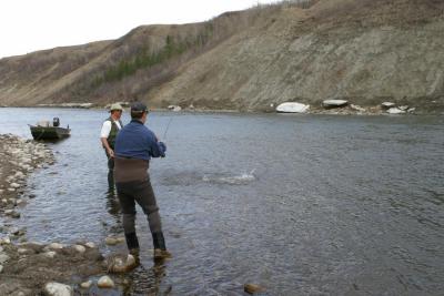 Bob with yet another large trout...