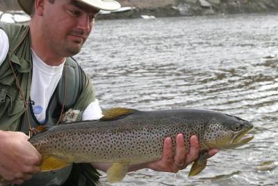 Bow River Brown