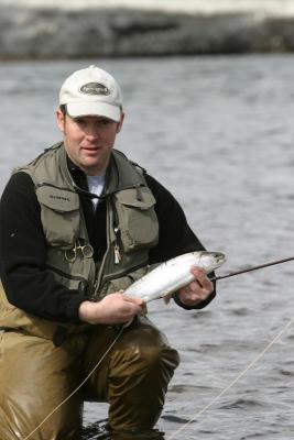 Rainbow Trout, Bow River