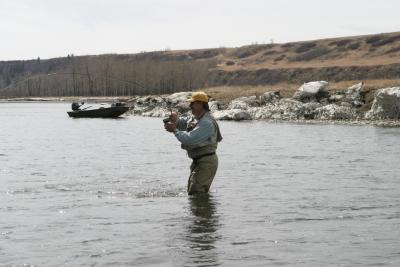 Playing a trout