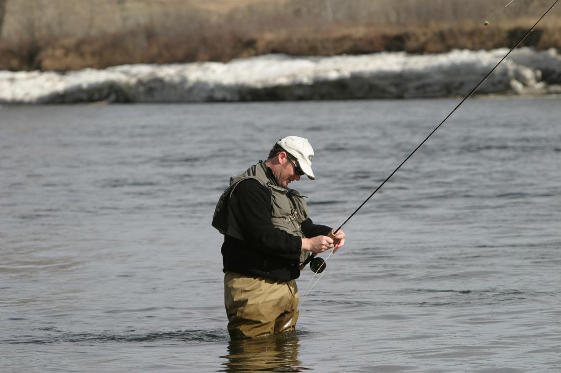 Fly Fisherman