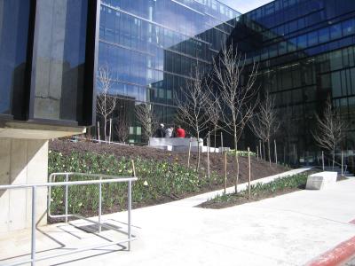 IMG_0705.JPG