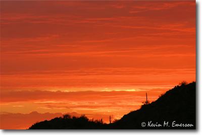 Backyard Sunset