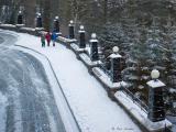 A Walk in the Snow