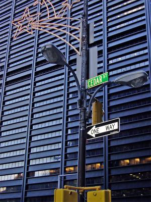 NYC Cedar Street by Stephen Merauld