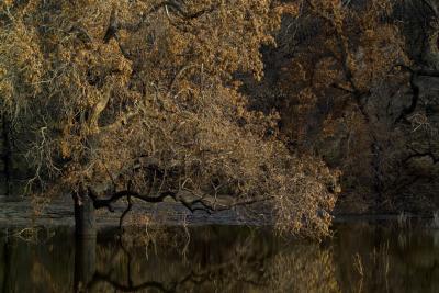 u14/kodak_challenge/medium/41810489.FireandFlood.jpg