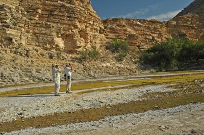 Birding on the Rio Grande - Big Bend NP.jpg