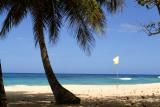 Playa Grande, Dominican Republic --- Surf n' Turf