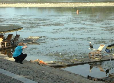 Frances photographing the cormorants