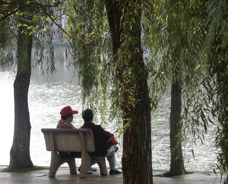 Beside the lake