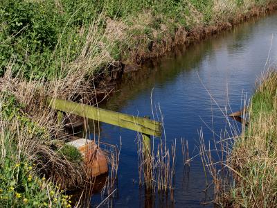 Ditch with Muskrat Trap