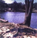 April 26 2005