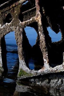 Peter Iredale8