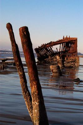 Peter Iredale 13