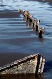 Peter Iredale 6