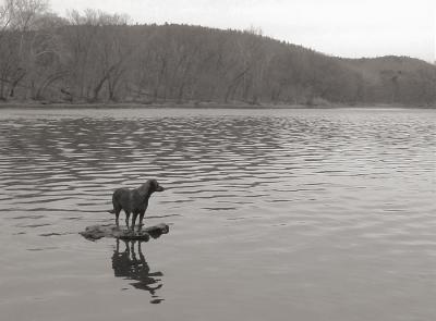 reflection