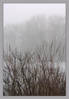 IMG_0841w.jpg